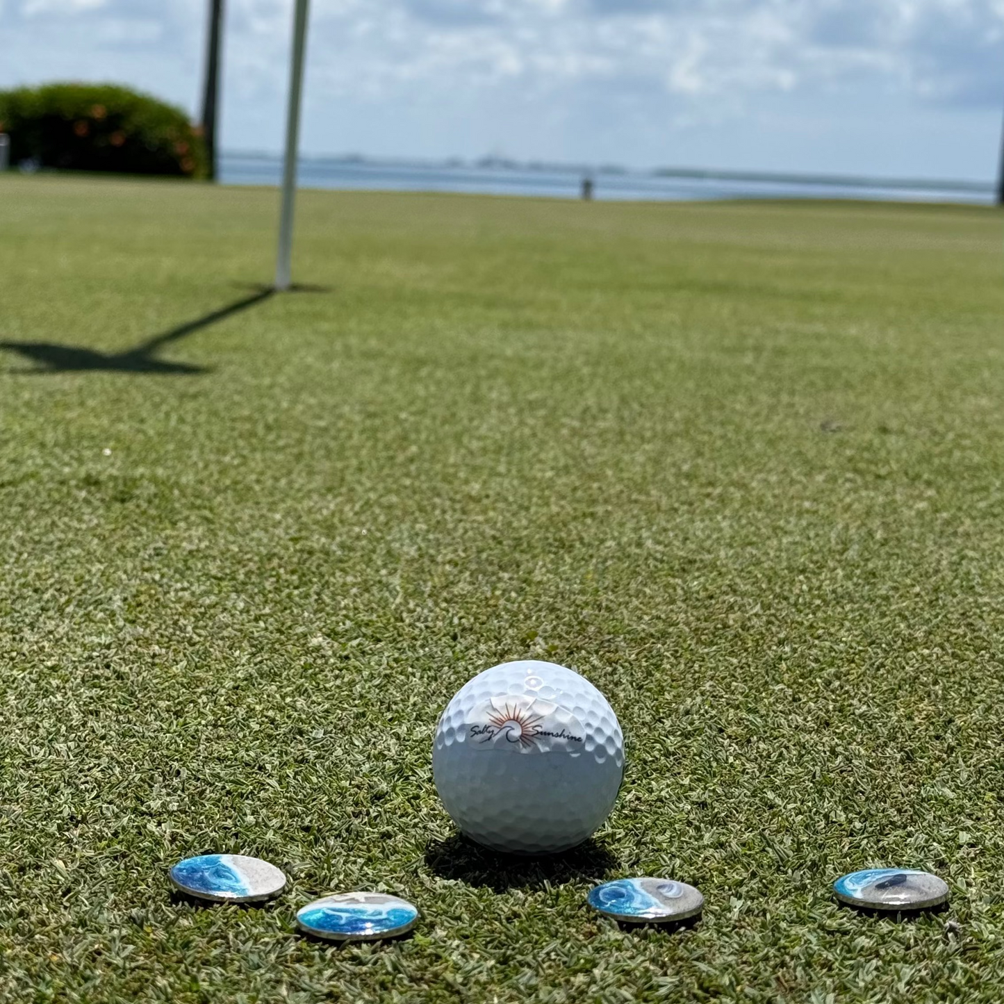 Golf Ball Marker with magnetic hat clip
